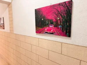 Property Gallery Image